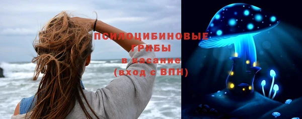 ГАЛЛЮЦИНОГЕННЫЕ ГРИБЫ Горнозаводск