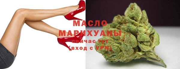 гидропоника Горняк