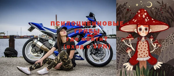 гидропоника Горняк