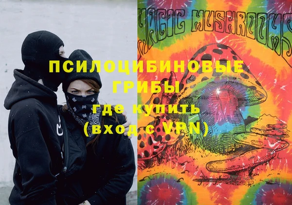 ГАЛЛЮЦИНОГЕННЫЕ ГРИБЫ Горнозаводск
