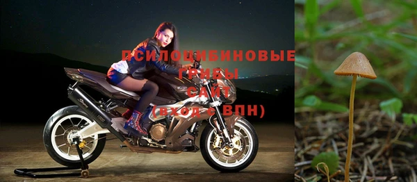 эйфоретик Горно-Алтайск