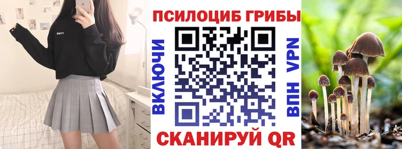 Псилоцибиновые грибы Psilocybine cubensis  Серпухов 